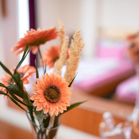 Hotel Holiday-M Ohrid Ngoại thất bức ảnh